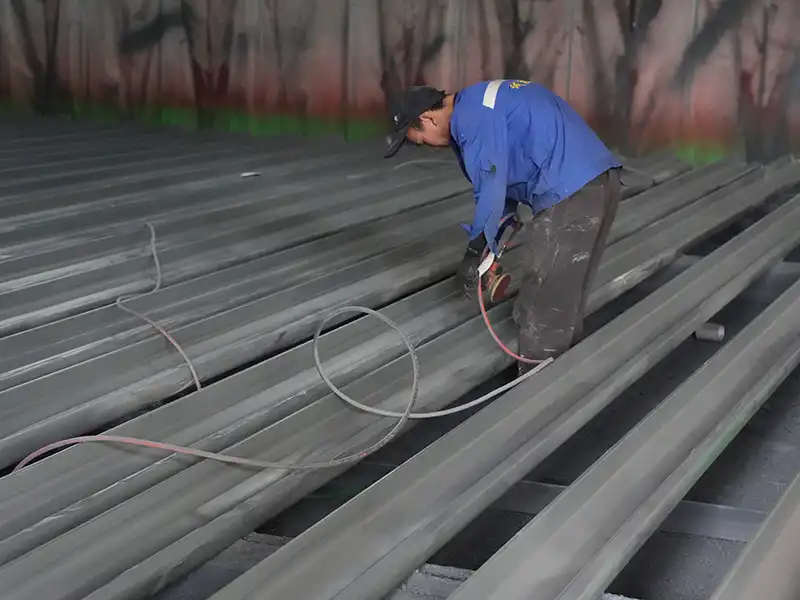 Paint Defect Sanding & Repair