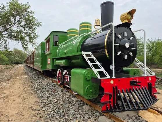 Train-in-operation-at-Changa-Manga-Eco-Park